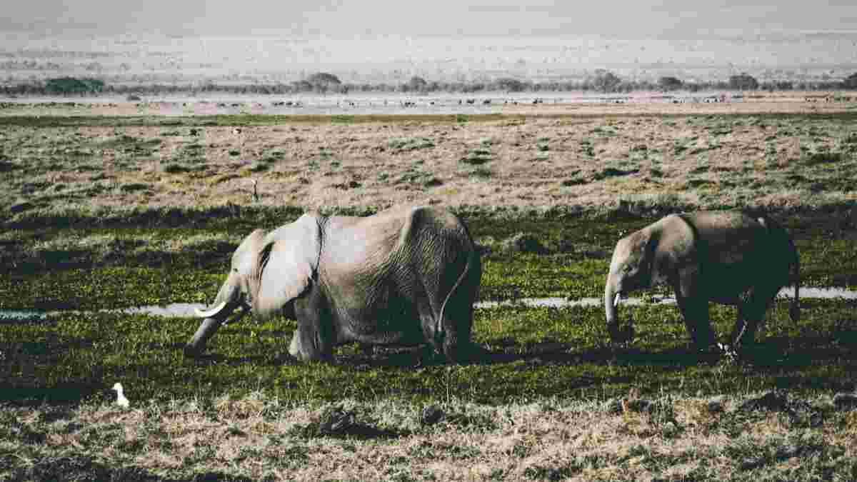 Droit et politiques de l'environnement 