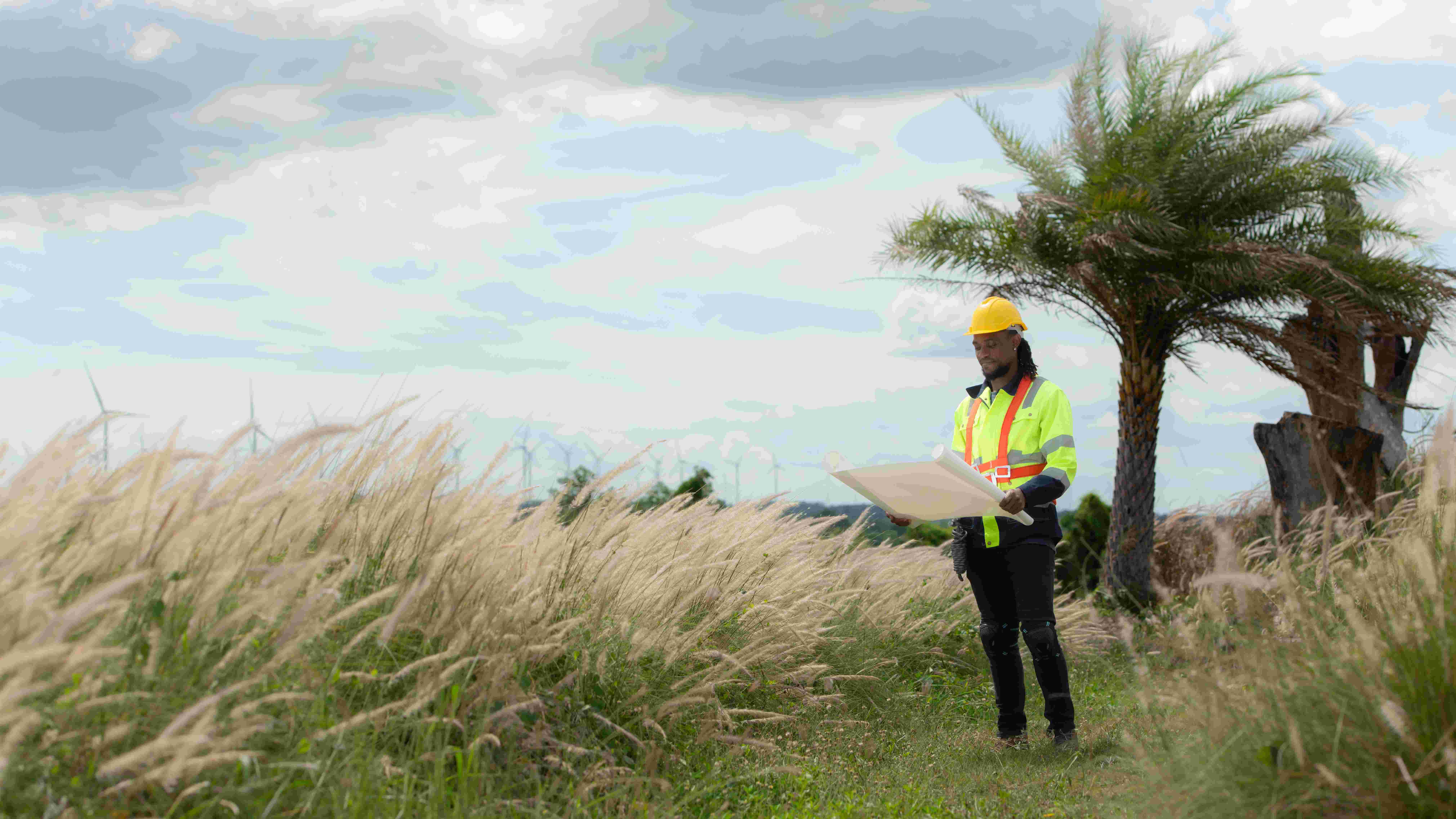 Gestion des aires protégées